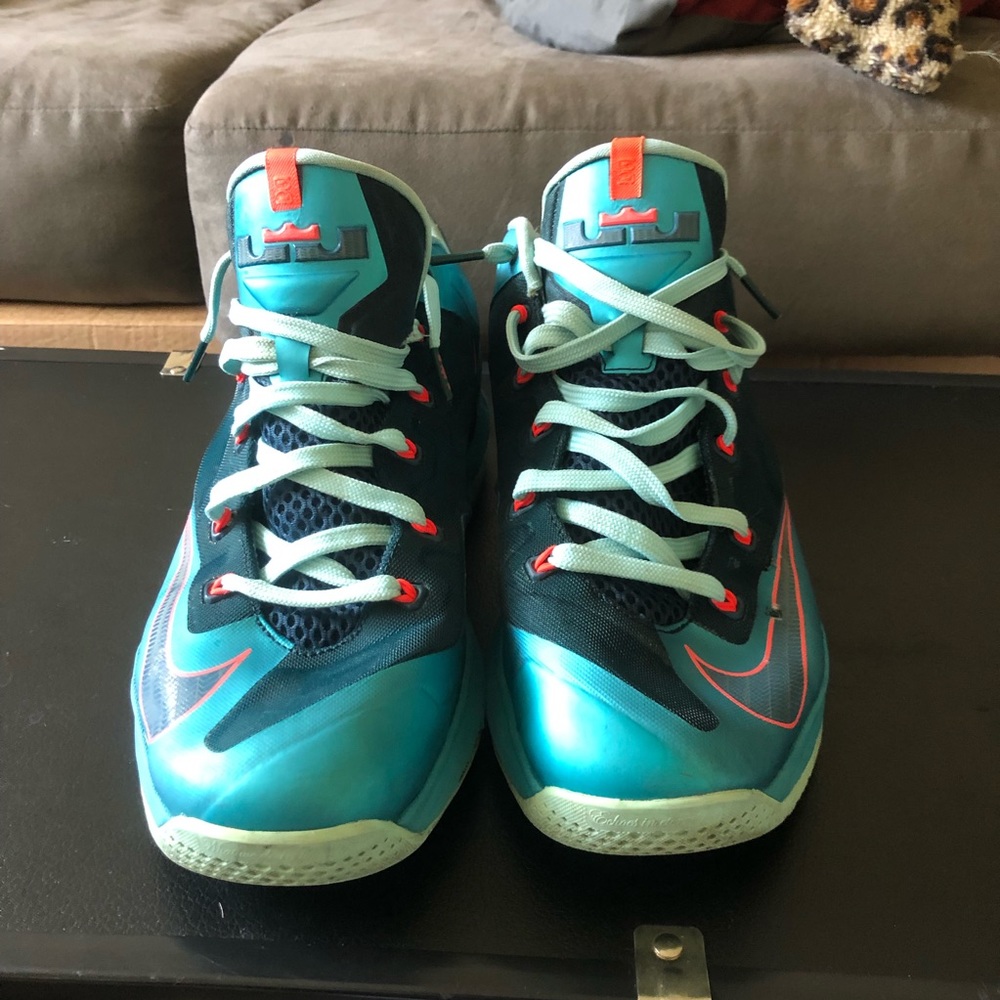 Nike Lebron low top